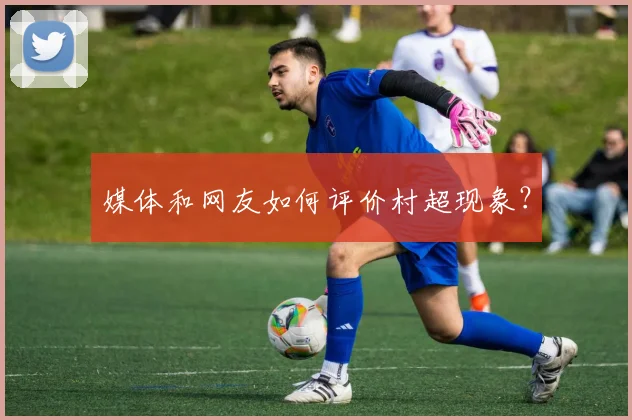 媒体和网友如何评价村超现象？