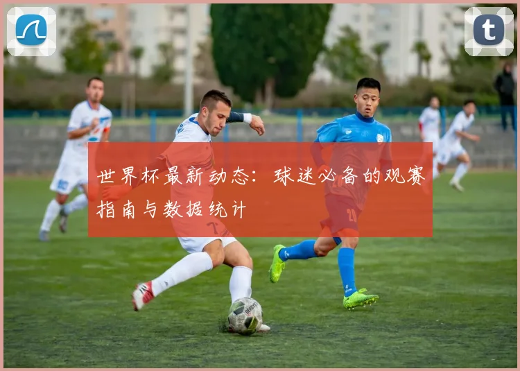 世界杯最新动态：球迷必备的观赛指南与数据统计